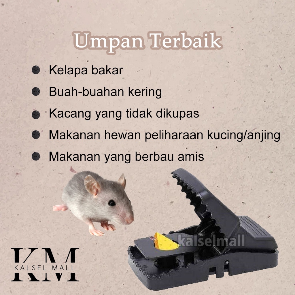 Jebakan Jepitan Perangkap Penjebak Jepitan Tikus PALING EFEKTIF AMPUH BISA DIPAKAI KEMBALI Jepretan Pembasmi Pengusir Mouse Trap Jepit Aman Tanpa Racun Basmi Tikus ART48