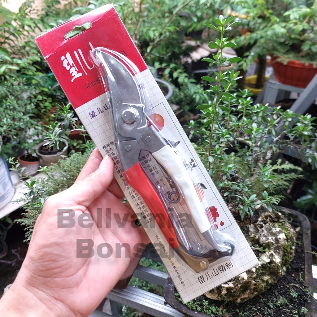 Gunting Prunning Daun Buah Ranting Merah Putih 20 CM Kode JLW