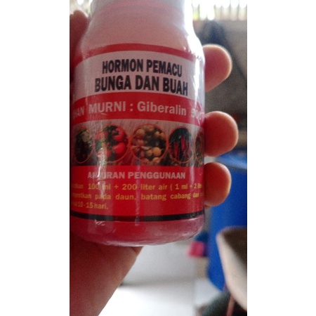 Hormon giberelin murni 500ppm