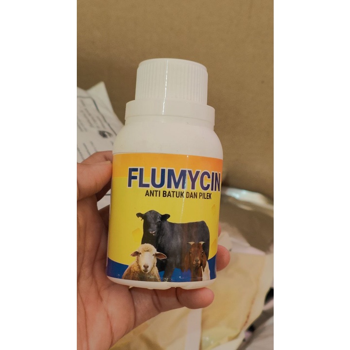 OBAT FLU BATUK PILEK AMPUH FLUMICYN 100ml || Obat Batuk Pilek Sapi Domba Kambing Ampuh