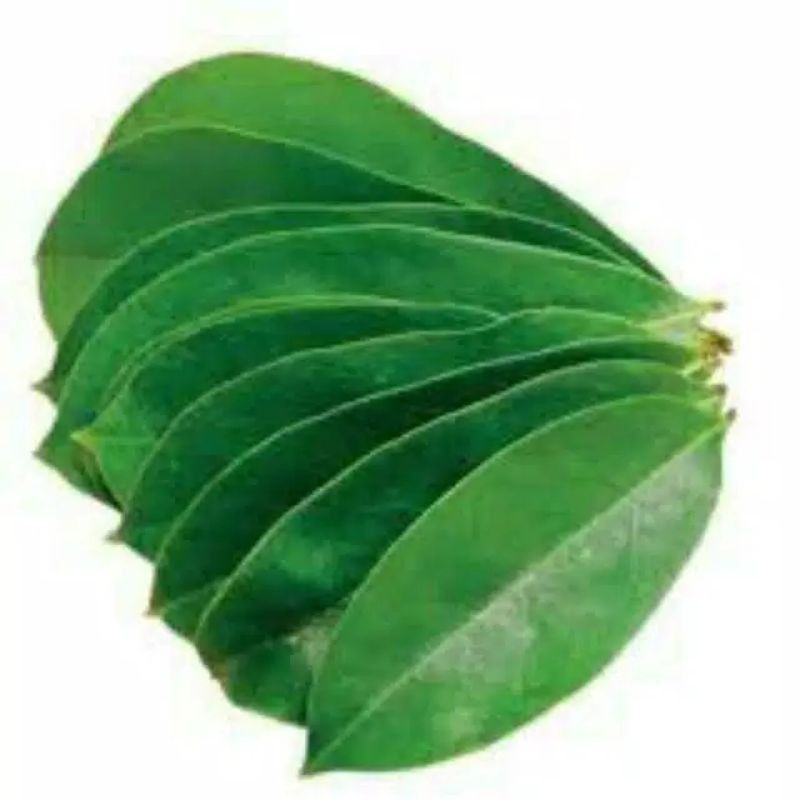 Daun sirsak ( 1pcs) Daun sirsak herbal Daun sirsak segar