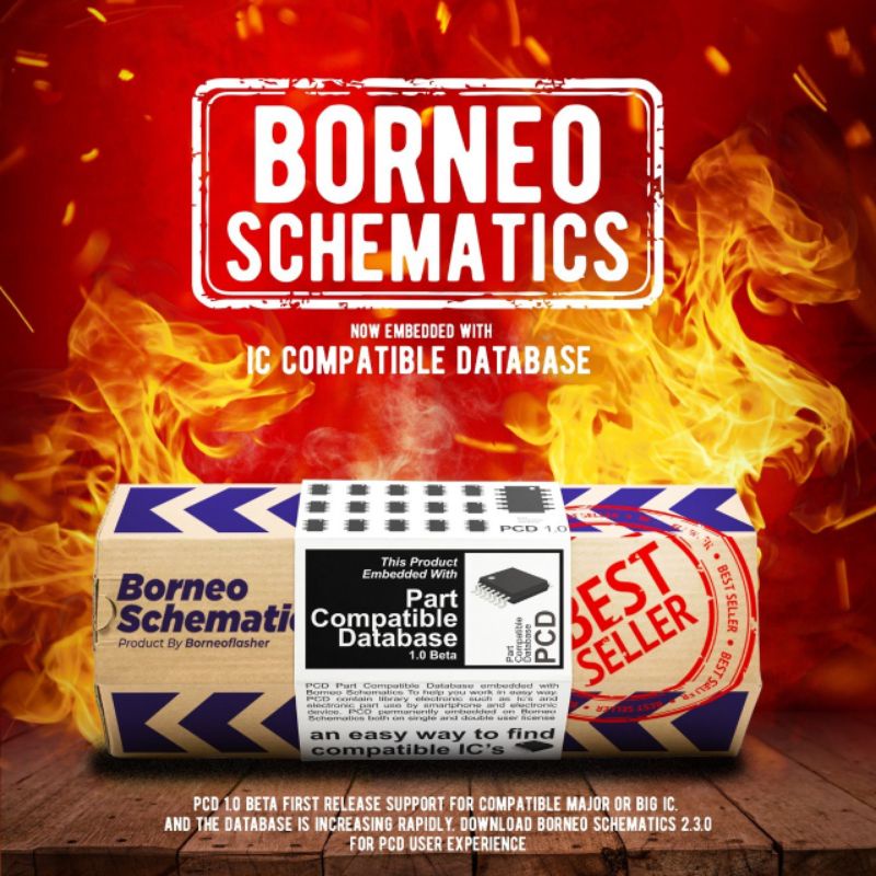 Schematic Borneo Double PC (12 Bulan)