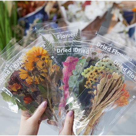 

Code742 Dried Flower Pet Stickers Pack - Stiker Bunga Kering Transparan 6Pcs