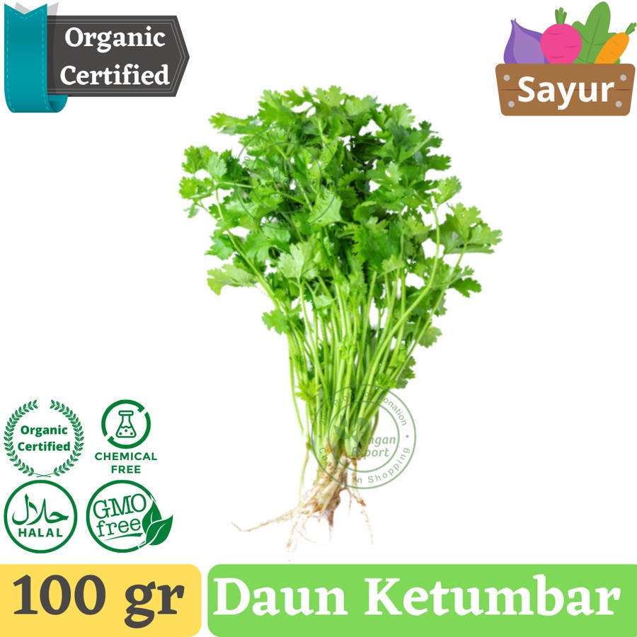 

Daun Ketumbar , coriander , Cilantro
