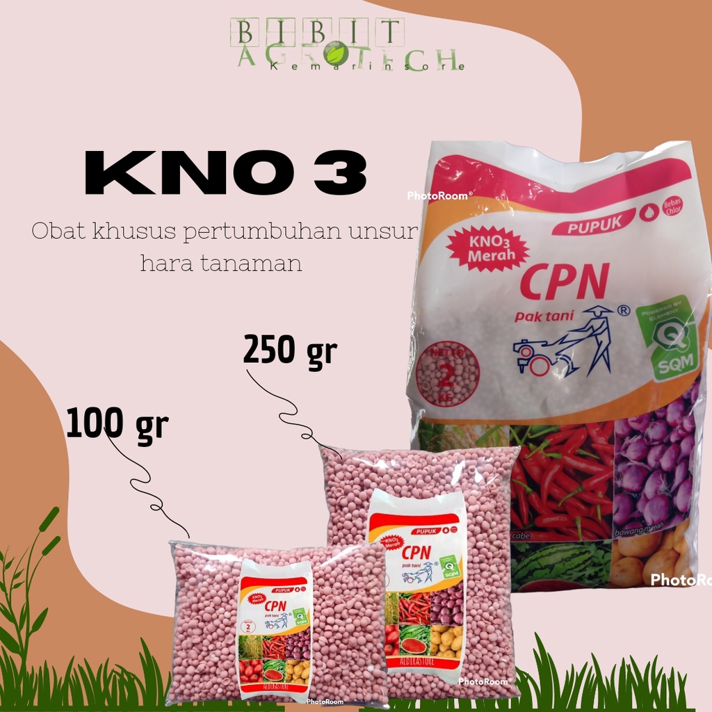 Pupuk KNO3 Mempercepat Pembungaan Dan Pembuahan Repack 250 gr