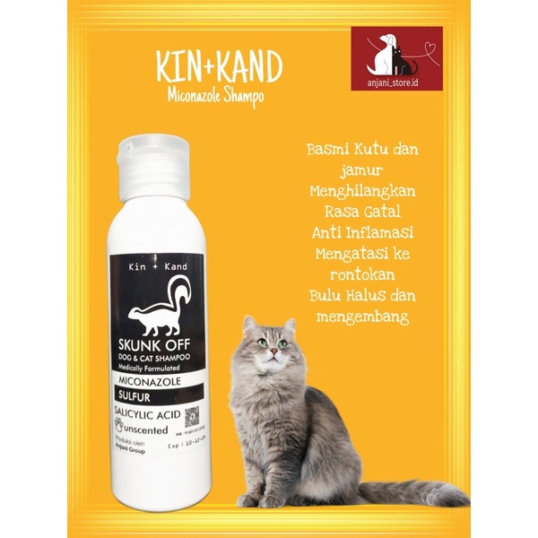 250ML SHAMPO KUCING SHAMPO ANTI KUTU ANTI JAMUR SHAMPO MICONAZOLE 250ML SHAMPO GROAMING ANTI KUTU ANTI JAMUR SHAMPO ANJING ANTI KUTU