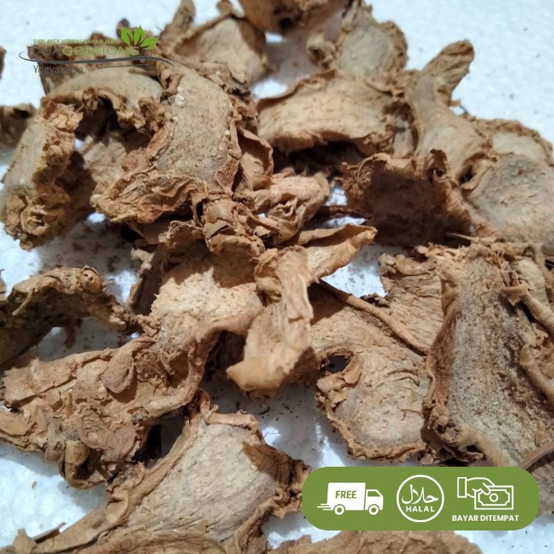 

Jahe Gajah Kering 500 gram dan 1 kg