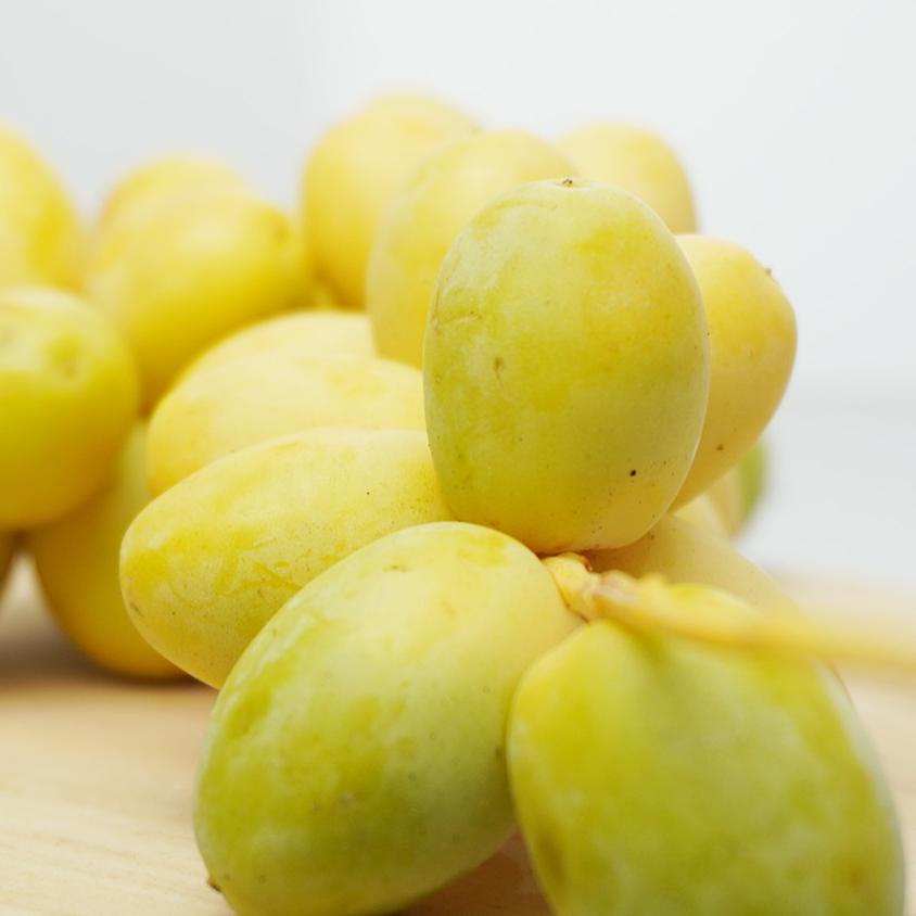 

limited Edition✔️Kurma Muda 500 Gram Barhee Ruthob Fresh Promil Asli Free Zuriat & Testpack Original|RA2