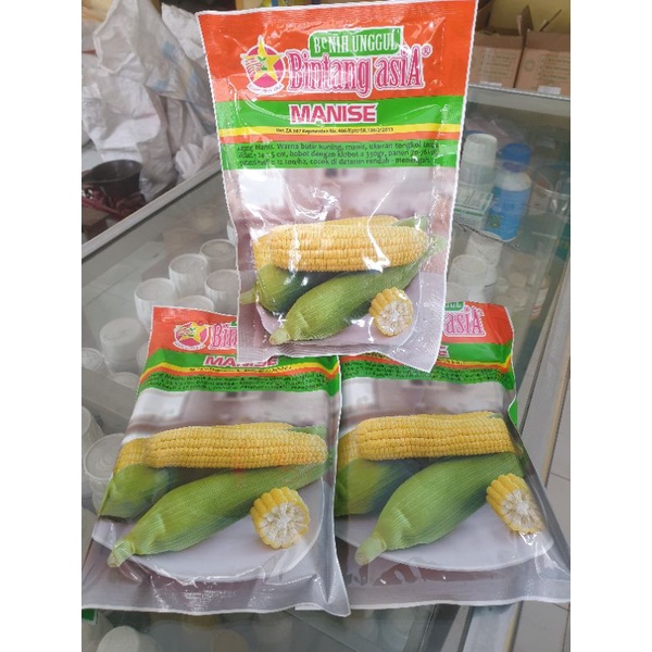 Benih Jagung Manis Bintang Asia Manise