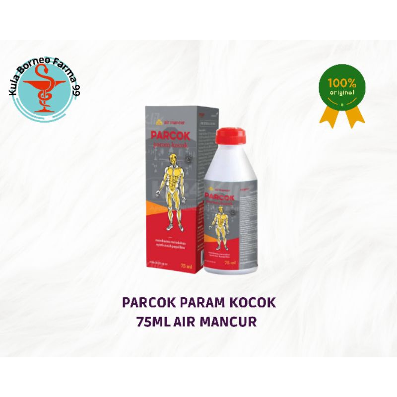 Parcok Param Kocok Air Mancur