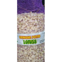 

Silahkan Belanja--Bawang Putih Baci/Honan 1Kg