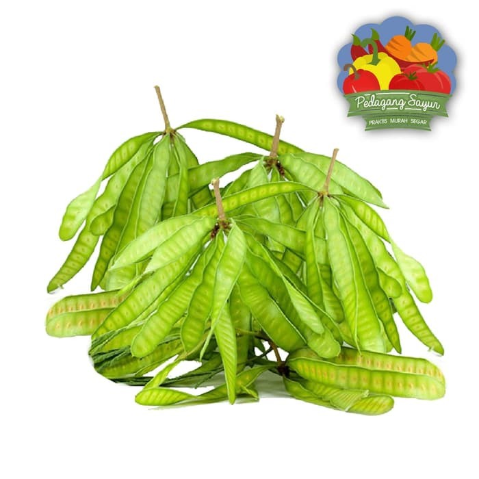 

pete cina atau kelandingan diambil dadakan dari kebun sendiri barang pasti ada