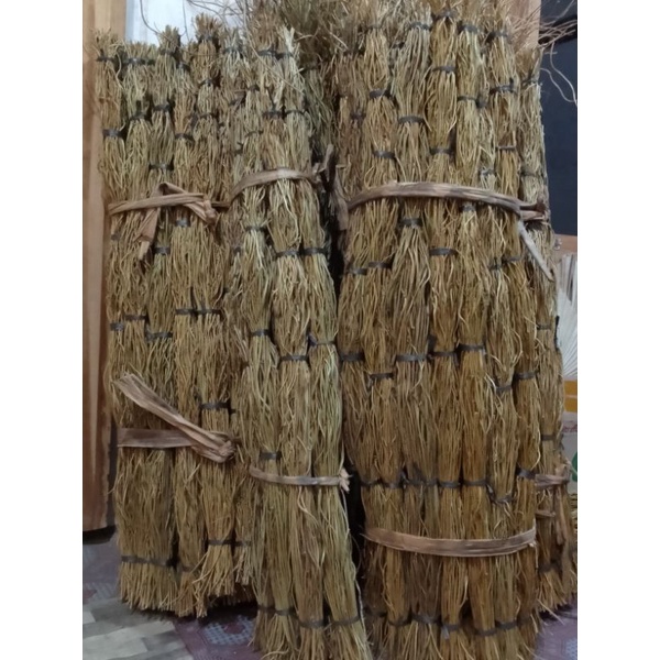 AKAR MANON 100 BATANG +AKAR MANON DEKORASI+ AKAR MANTAU+DEKORASI PESTA