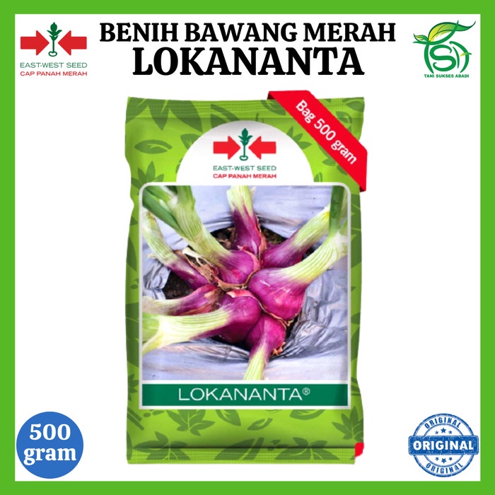 Benih Bawang Merah LOKANANTA 500 Gram - Bibit Cap Panah Merah 500 Gr