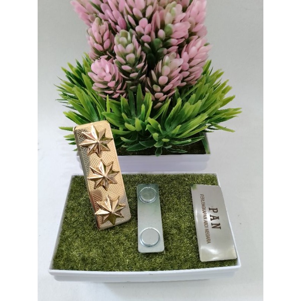 Tanjab Kerah Pangkat Kerah Plat ASN 4E