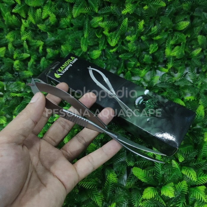 

Unik Kandila Gunting Bengkok 15Cm Stainless Steel Murah