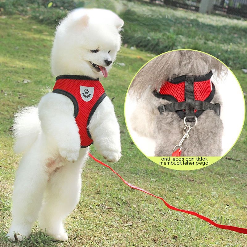 Hugopet Tali Tuntun Rompi Harness Kucing Anjing Tali Rompi Vest Hewan  Peliharaan Tali Tuntun Pet Dog Leash Murah