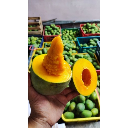 mangga alpukat bangil 5kg