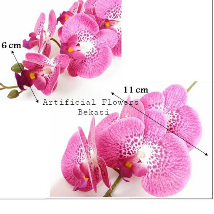 Diskon sekarang--BUNGA ANGGREK LATEX K9 (PER TANGKAI) latex jumbo grosir murah bunga anggrek bulan a