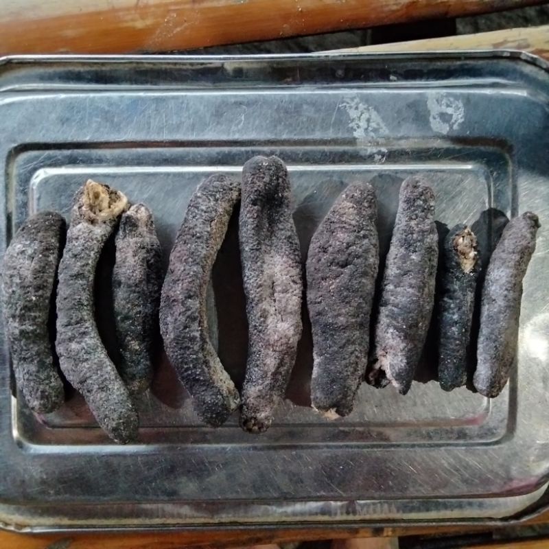 

Teripang Cera hitam