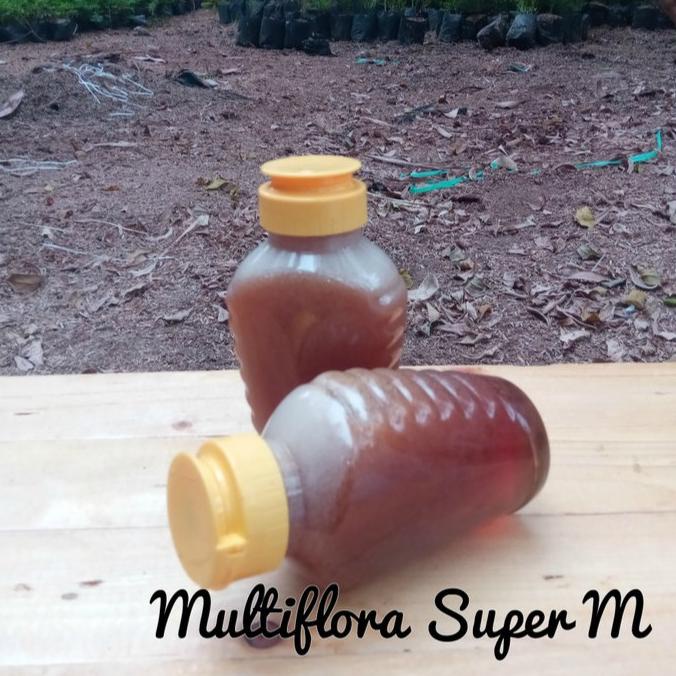 

NEW MADU MULTIFLORA SUPER M ISI BERSIH 300G LIMITED EDITION