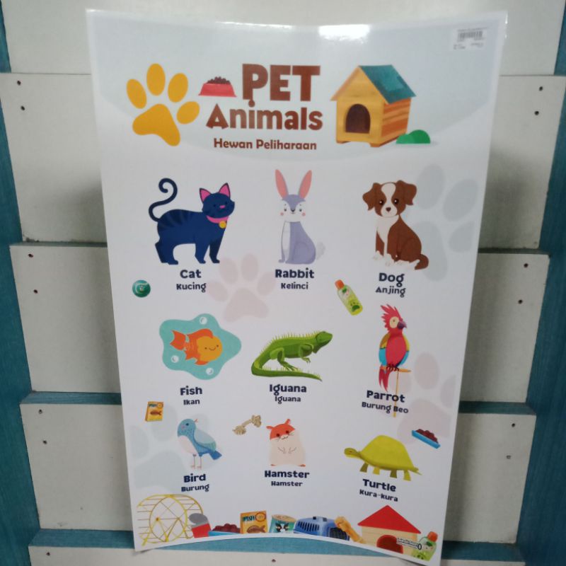 Poster Hewan Peliharaan