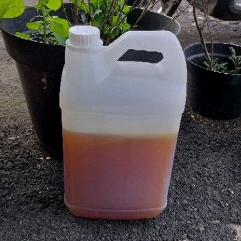 

Madu Curah Akasia 5kg