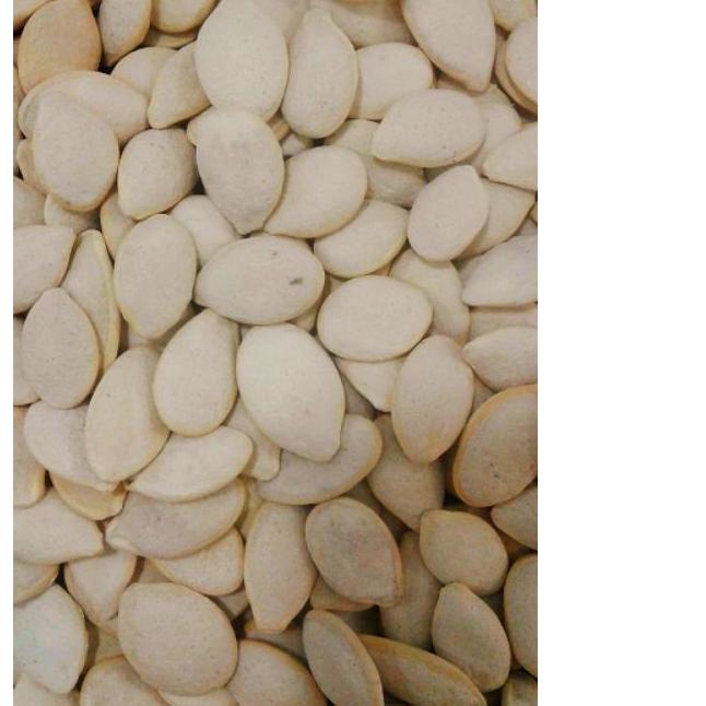 

Quality Control✅kuaci putih 250gr|SQ5