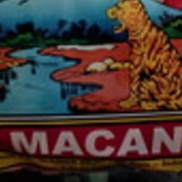 

SALE✅Keripik Kentang Cap Macan KW SUPER Khas Kota Batu|SQ1
