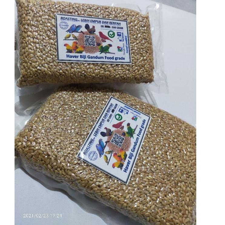 

Ready Stock✥➴ 7CZRT Haver seed biji gandum kupas food grade 1kg 82 ➴Diskon Promo