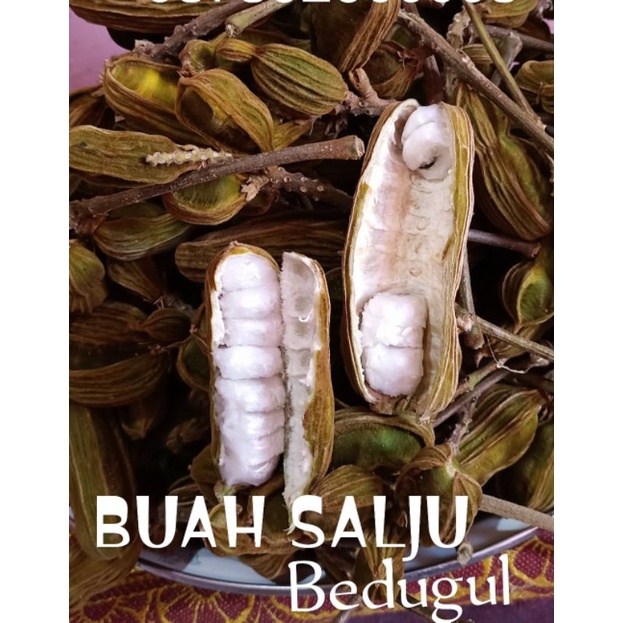 

Buah salju + kemasan pot plastik