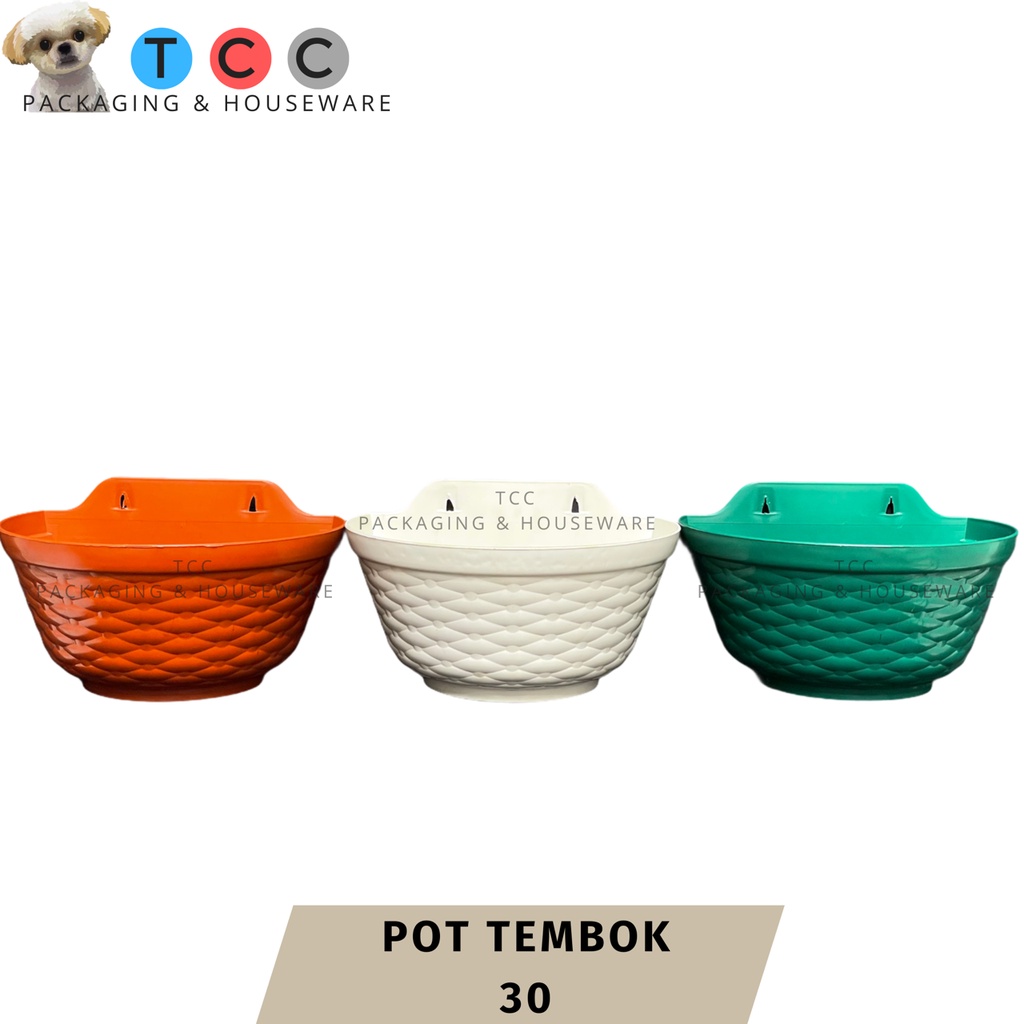 Pot Tembok 30 - Tanaman Bunga Hias Dinding Tempel Bibit Plastik TB Flower