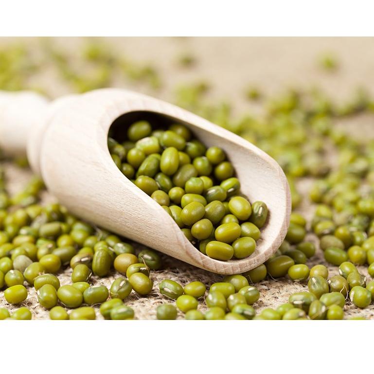 

kode0r5Qf--Kacang Hijau Import Australia Large Green Mung Beans 500g