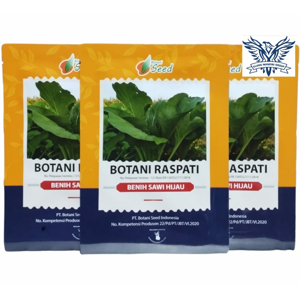 Benih Sawi Hijau Botani Raspati 5 Gram Botani Seed