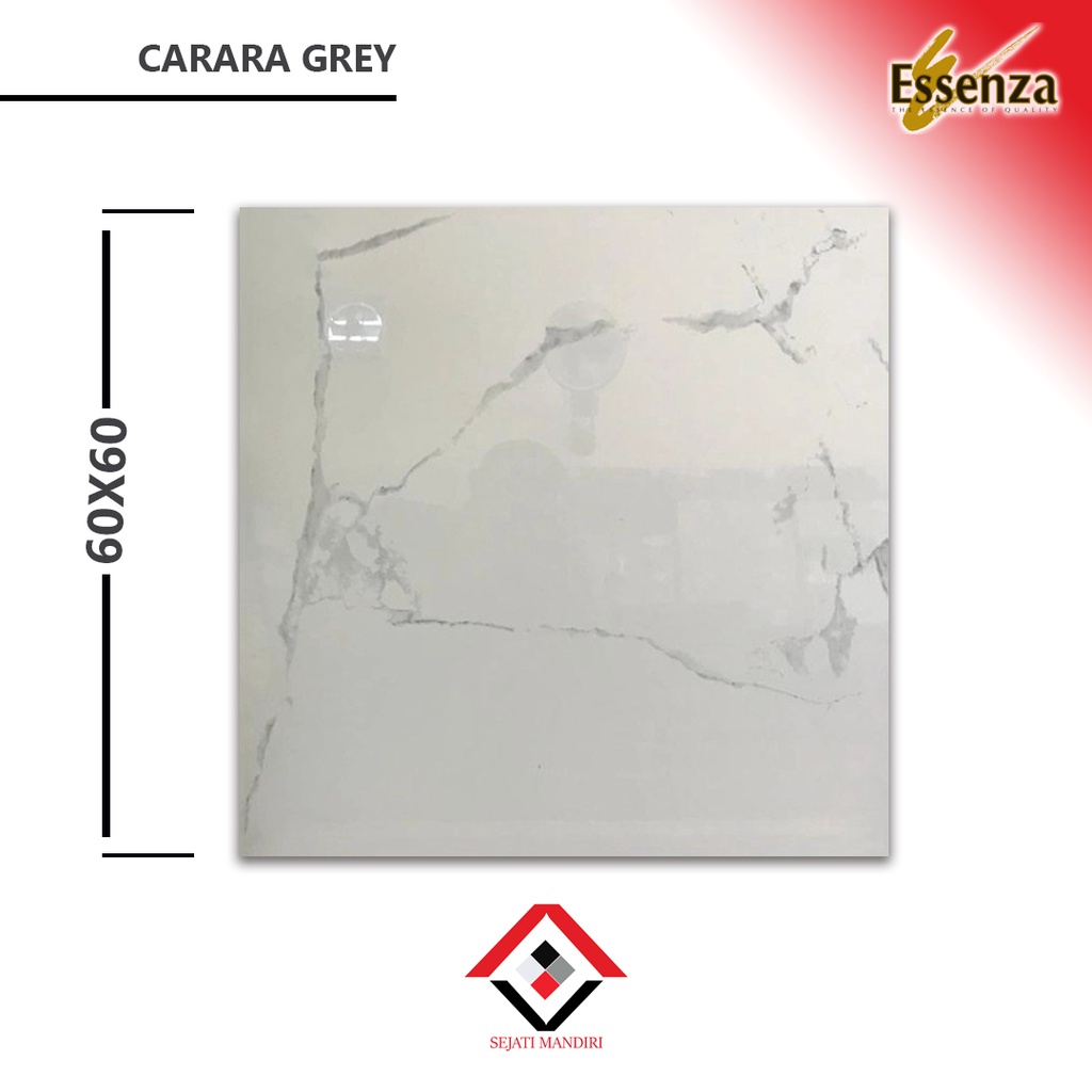 Granit 60x60 - Motif Marmer - Essenza Carara Grey