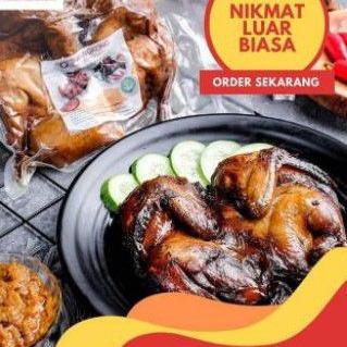 

Terbaik ayam madu sibangkong 