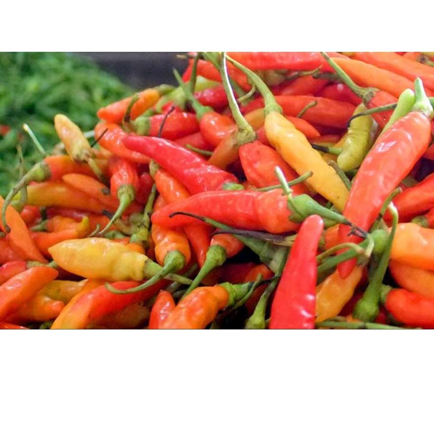

[❤[⚡PECIAL PRICE !!!]❤]FCW - Cabe Rawit Merah 250 Gram