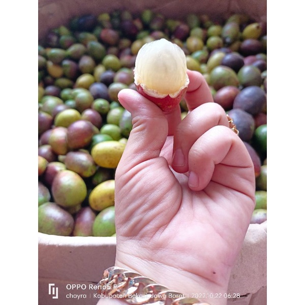 buah matoa fresh 1kg