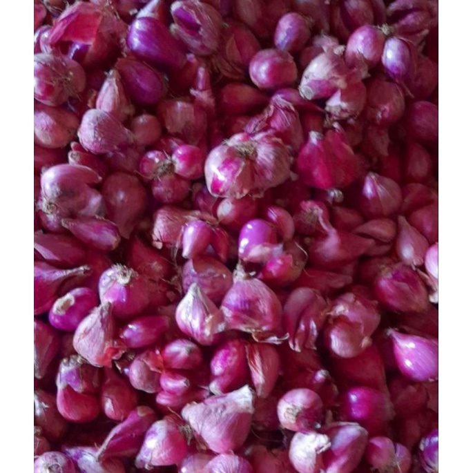 

BAWANG MERAH ASLI BREBES 250g