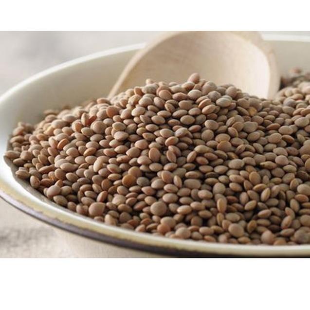 

10.10 Terlaris Kacang Lentil Coklat Organik 1 Kg grosir