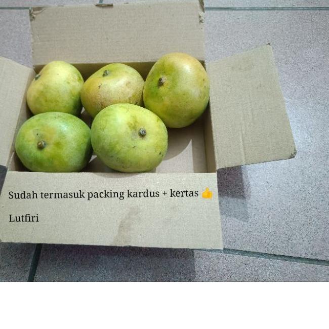 

limited STOCK!Mangga Apel Matang Mateng 1 kilogram Enak Asem Manis Segar fresh manisan makan langsung|RA6