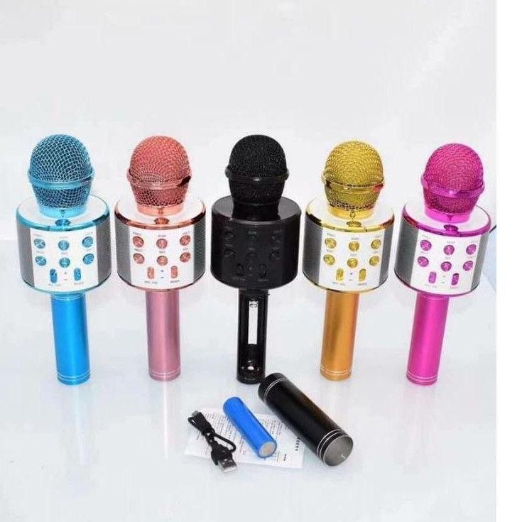 PPT.18Oc22ᴳ ‣ Speaker Mic Portabel Bluetooh Wireless Karaoke WS-858
