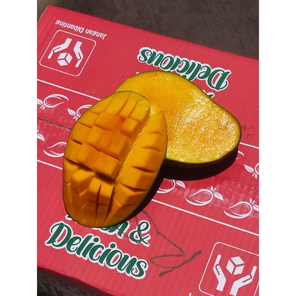 mangga alpukat asli Bangil 5kg