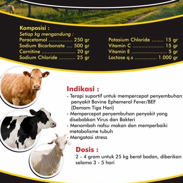 BEF STOP 100gr - Obat Demam 3 Hari Obat Lemas Obat Ambruk Sapi Kambing Kerbau Domba Kuda