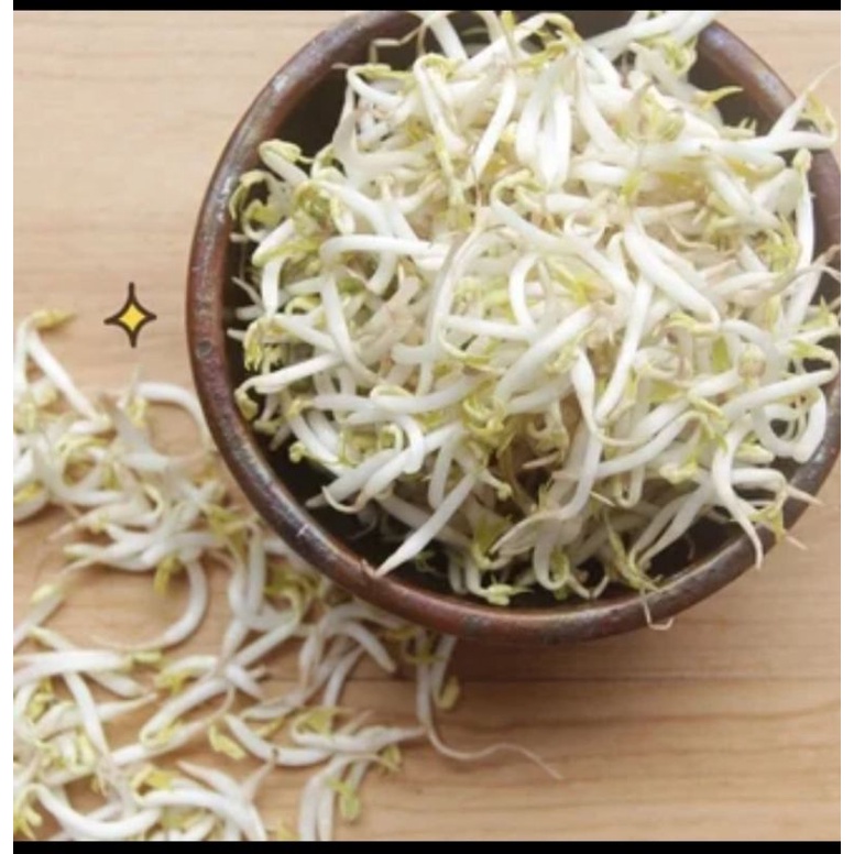 

kecambah/tauge kacang hijau