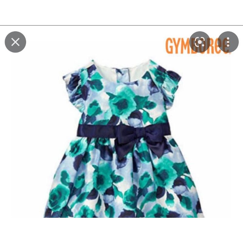 baby dress gymboree
