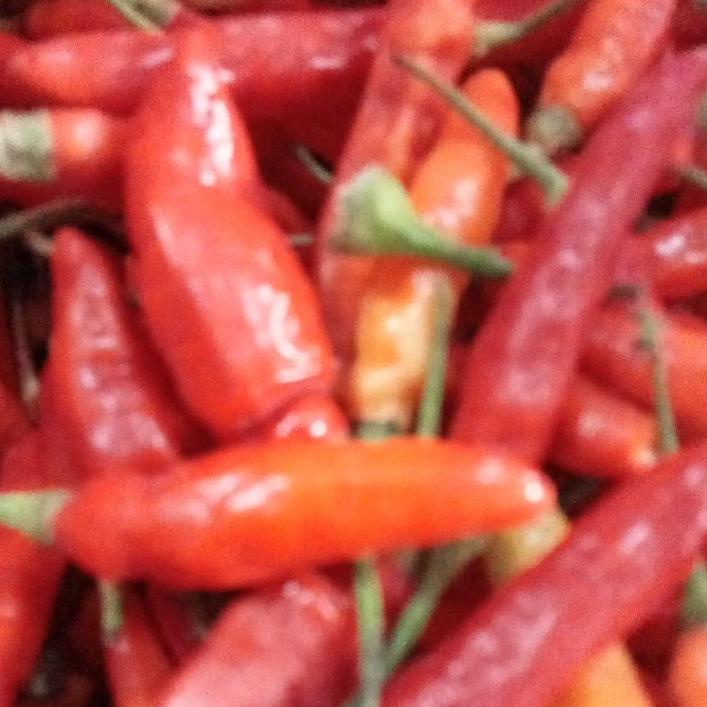 

✨MEN SALE✨ CABAI RAWIT MERAH 1KG FRESH !!