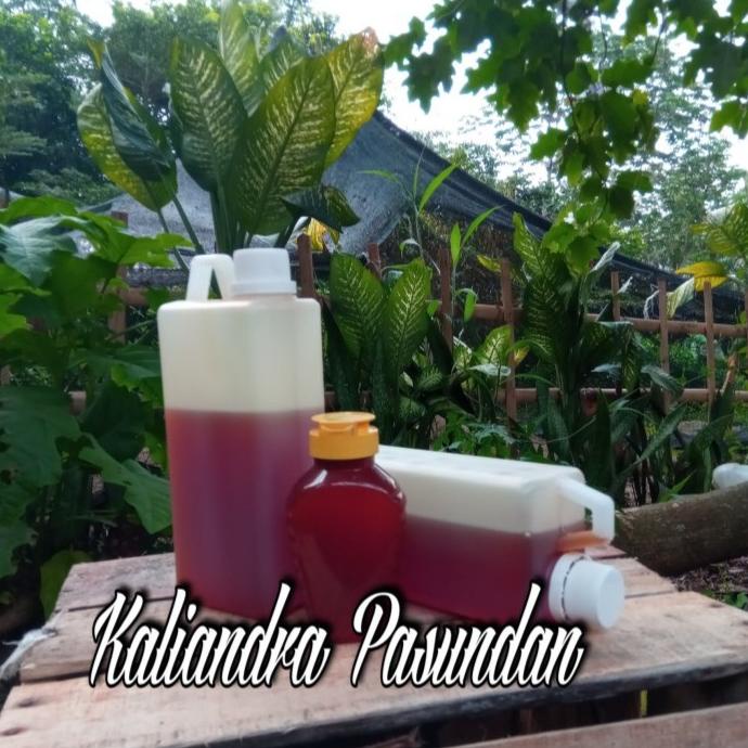 

NEW MADU KALINDRA PASUDAN ASLI ISI BERSIH 1KG TERBAIK