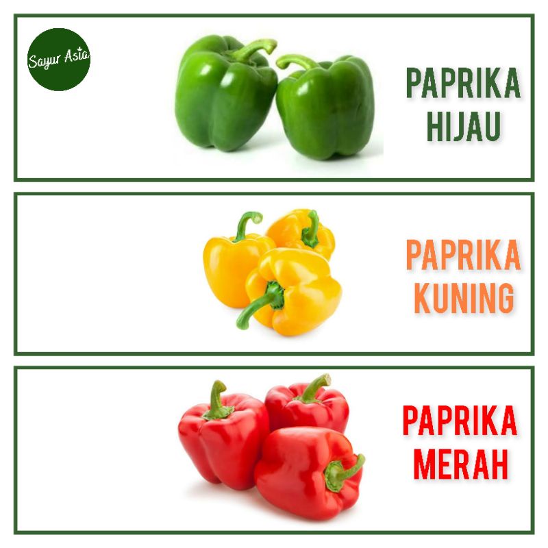 

PAPRIKA HIJAU / PAPRIKA MERAH / PAPRIKA KUNING
