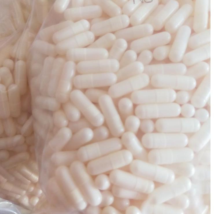 9j✰Best Produk✣↔ cangkang kapsul putih_putih(susu) 63 ↔